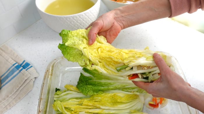 folding cabbage