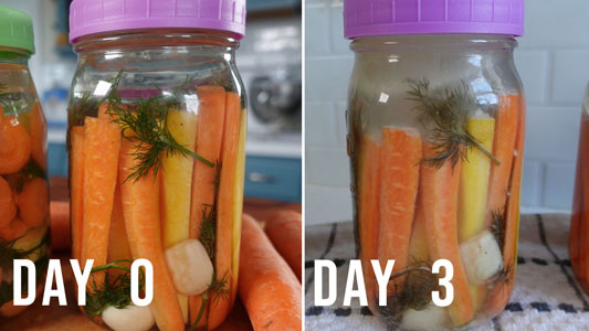 Fermenting carrots with cloudy brine