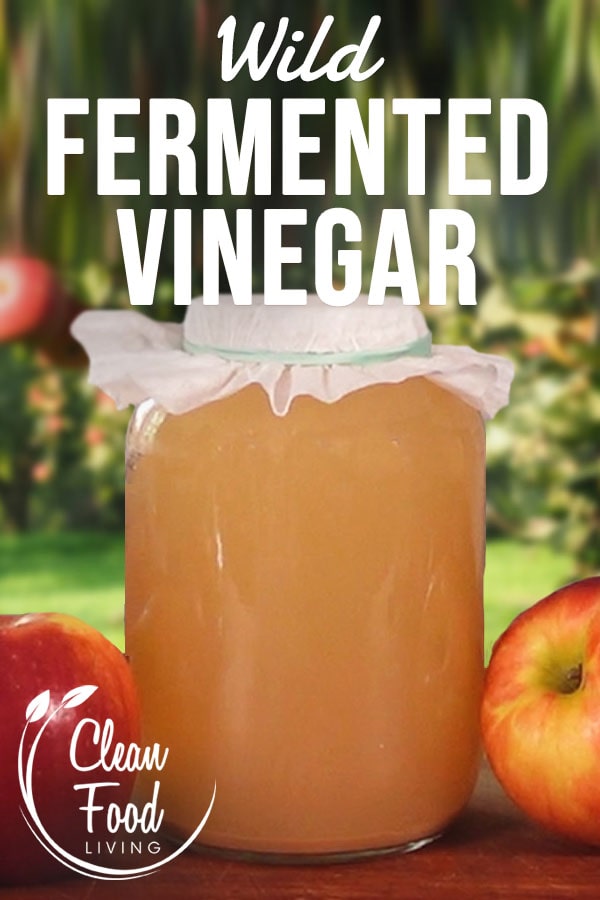 Homemade Apple Cider Vinegar Recipe