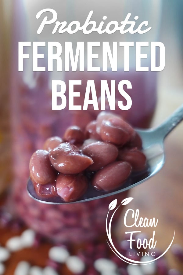 Fermented Beans