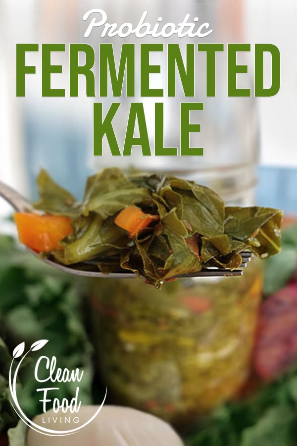 Fermented Kale Recipe