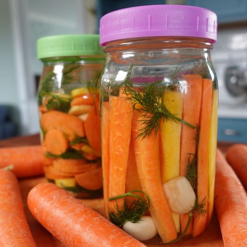 Fermented Carrots-image