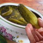 Fermented Pickles Recipe