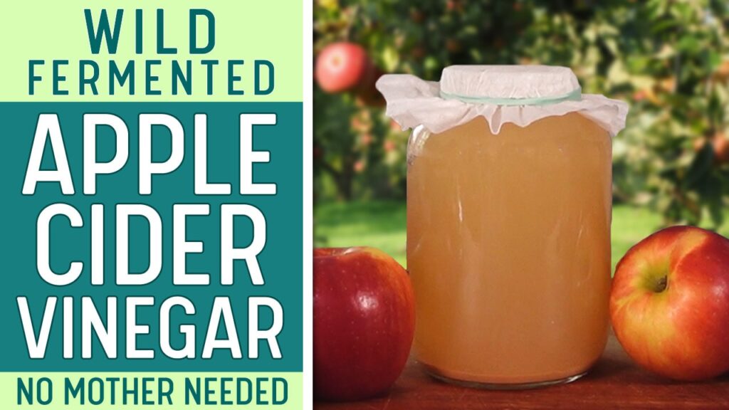 Homemade Apple Cider Vinegar Recipe
