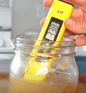 PH testing homemade apple cider vinegar