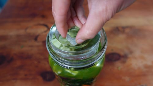 adding the fermenting weight