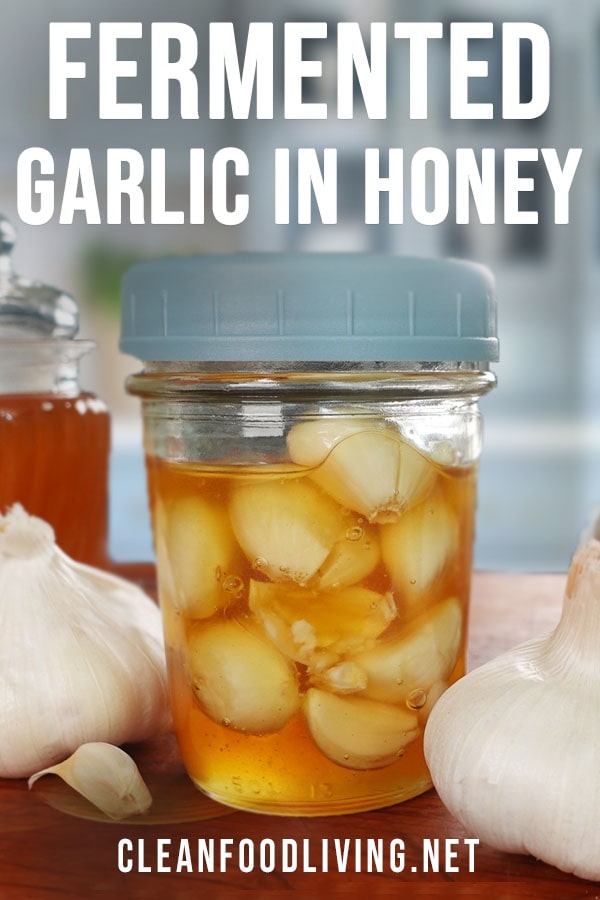 Pinterest Pin - fermented garlic in honey