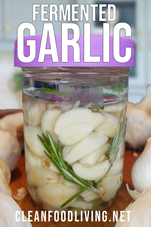 fermented garlic recipe