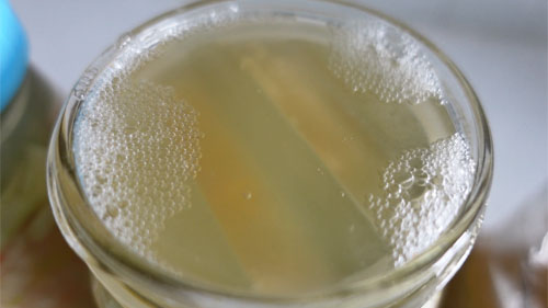 Bubbles in Sauerkraut Brine