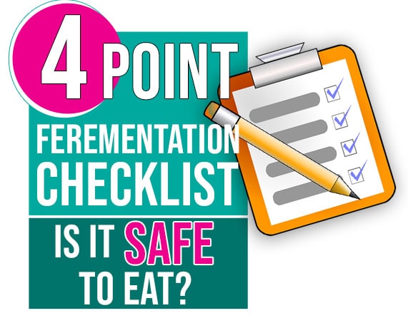 4 point vegetable fermenting checklist