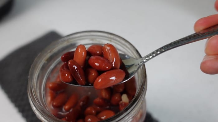 Fermented beans