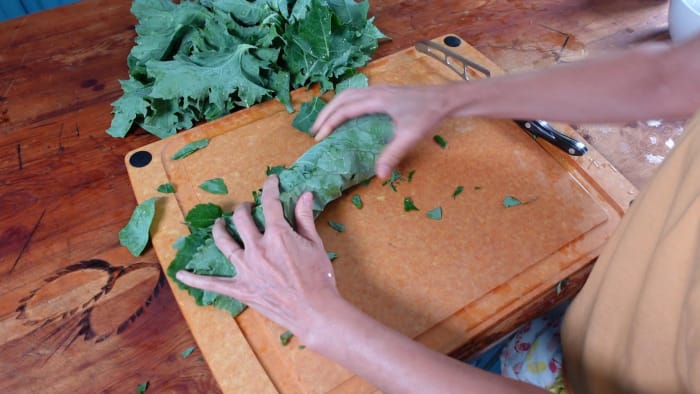 rolled up kale leaf